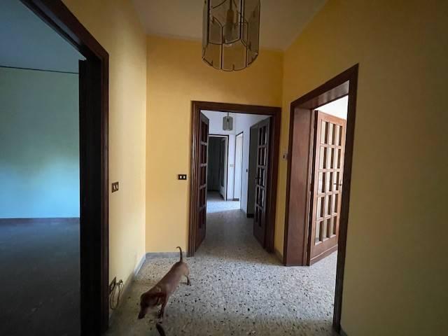 appartamento in vendita a Pisa in zona Quartiere San Giusto