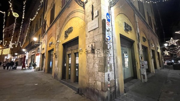 appartamento in vendita a Pisa in zona Quartiere San Martino