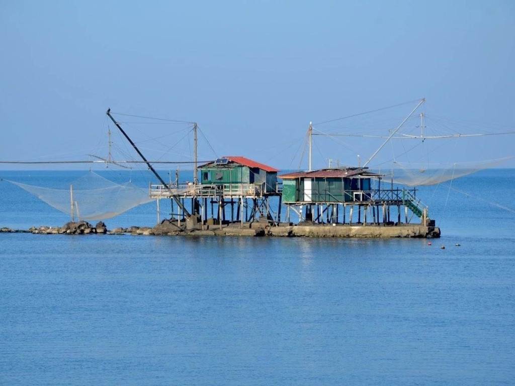 appartamento in vendita a Pisa in zona Marina di Pisa