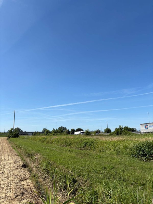 terreno agricolo in vendita a Pisa in zona Marina di Pisa
