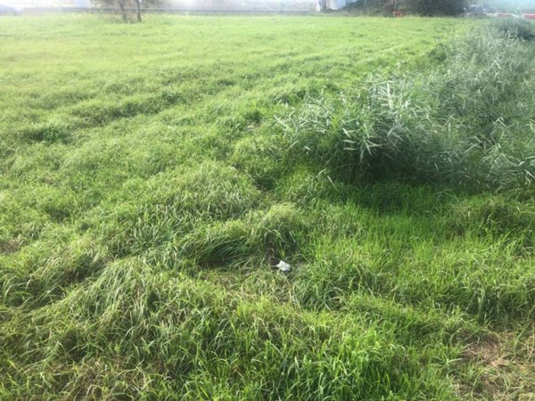 terreno agricolo in vendita a Pisa in zona Porta a Lucca