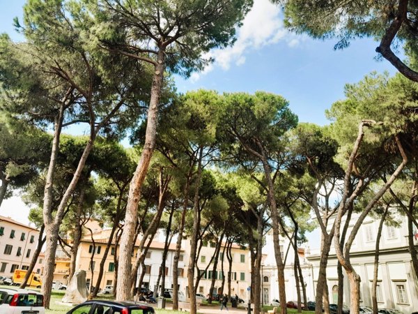 appartamento in vendita a Pisa in zona Quartiere San Francesco