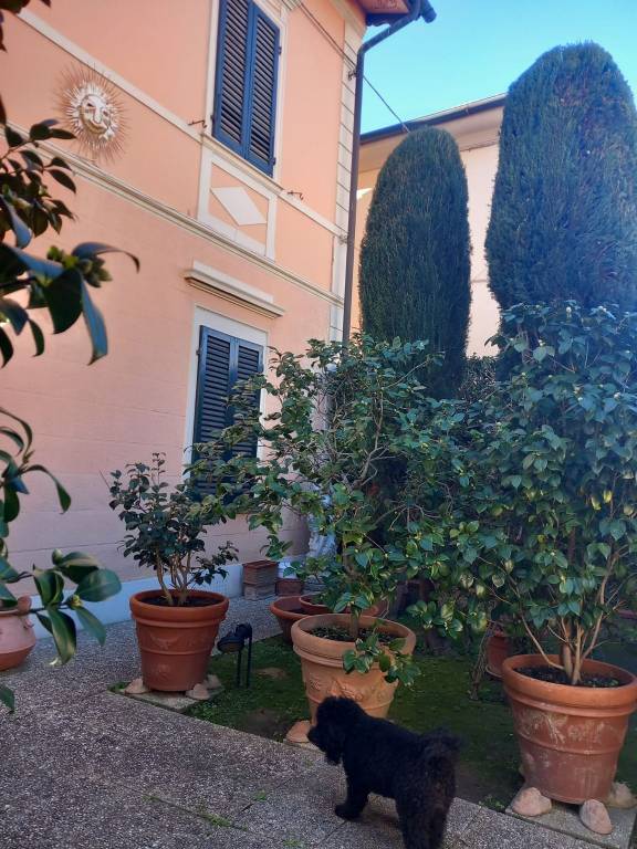 casa indipendente in vendita a Pisa in zona Quartiere San Giusto