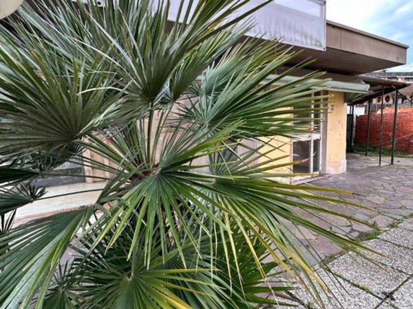 negozio in vendita a Pisa in zona Tirrenia