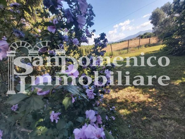 casa indipendente in vendita a Pisa in zona Coltano