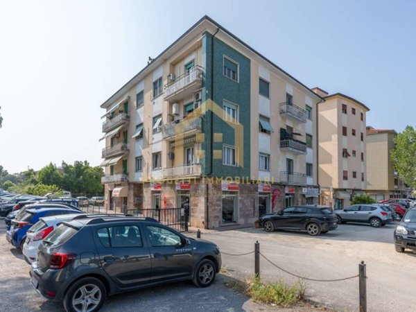 appartamento in vendita a Pisa in zona Ingegneria