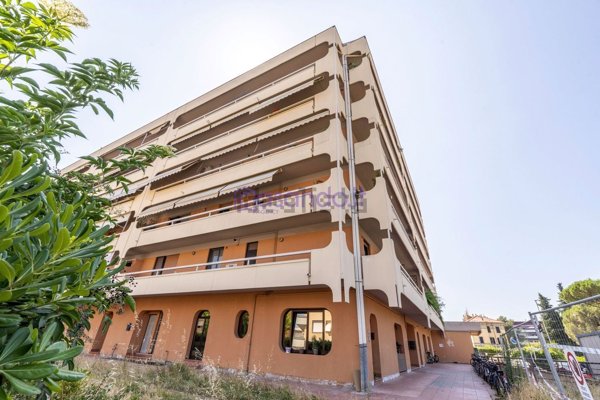 appartamento in vendita a Pisa in zona Le Piagge