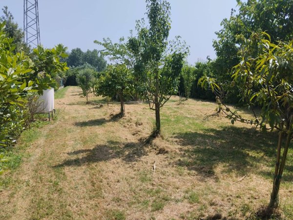 terreno agricolo in vendita a Pisa in zona Centro Storico