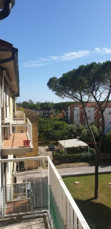 appartamento in vendita a Pisa