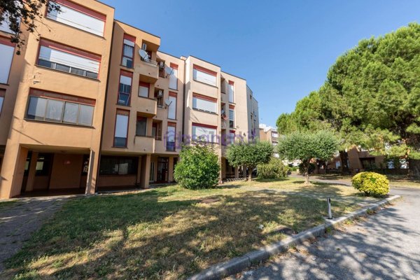appartamento in vendita a Pisa
