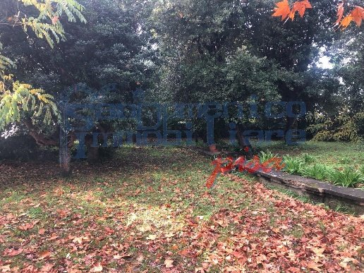 appartamento in vendita a Pisa in zona Stazione
