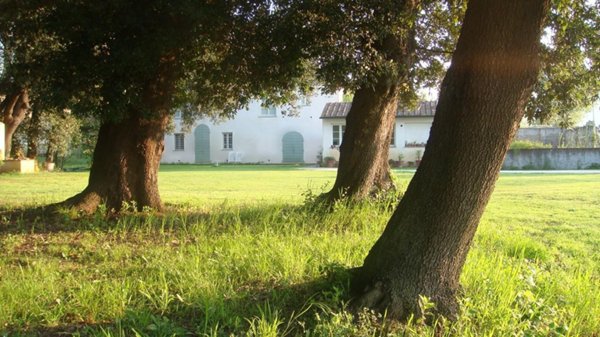 casale in vendita a Pisa in zona Centro Storico