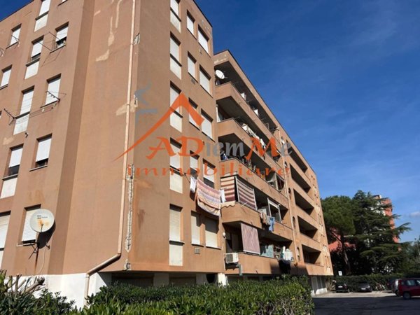 appartamento in vendita a Pisa in zona Cisanello