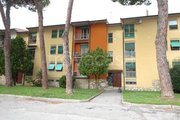 appartamento in vendita a Pisa in zona Centro Storico