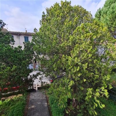 casa indipendente in vendita a Pisa