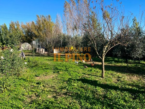 terreno agricolo in vendita a Pisa in zona Putignano