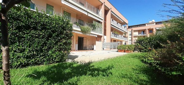 appartamento in vendita a Pisa in zona Cisanello