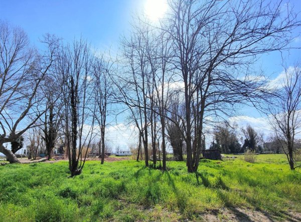 appartamento in vendita a Pisa in zona Quartiere San Giusto