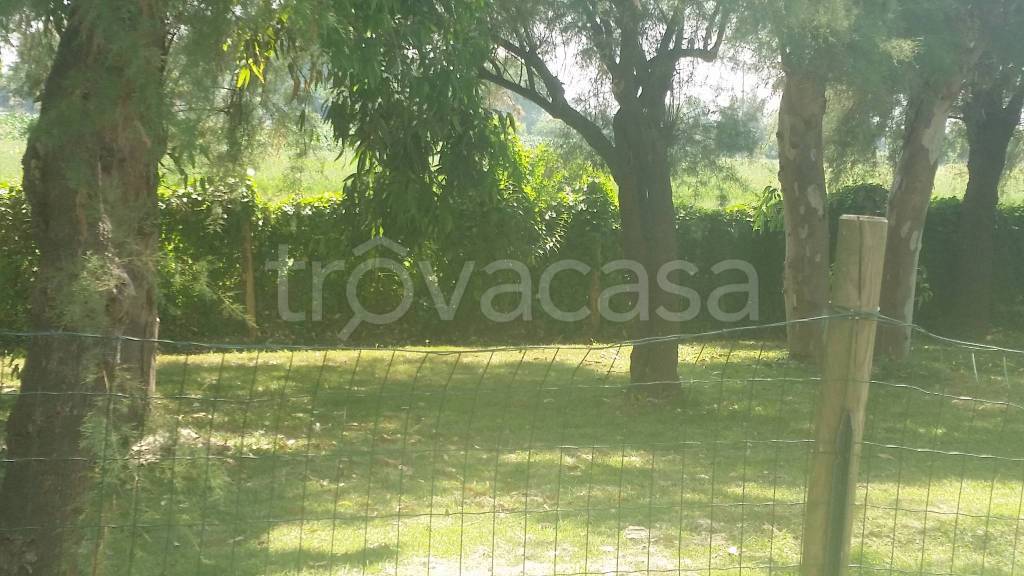 appartamento in vendita a Pisa in zona Marina di Pisa