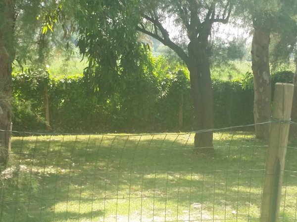 appartamento in vendita a Pisa in zona Marina di Pisa