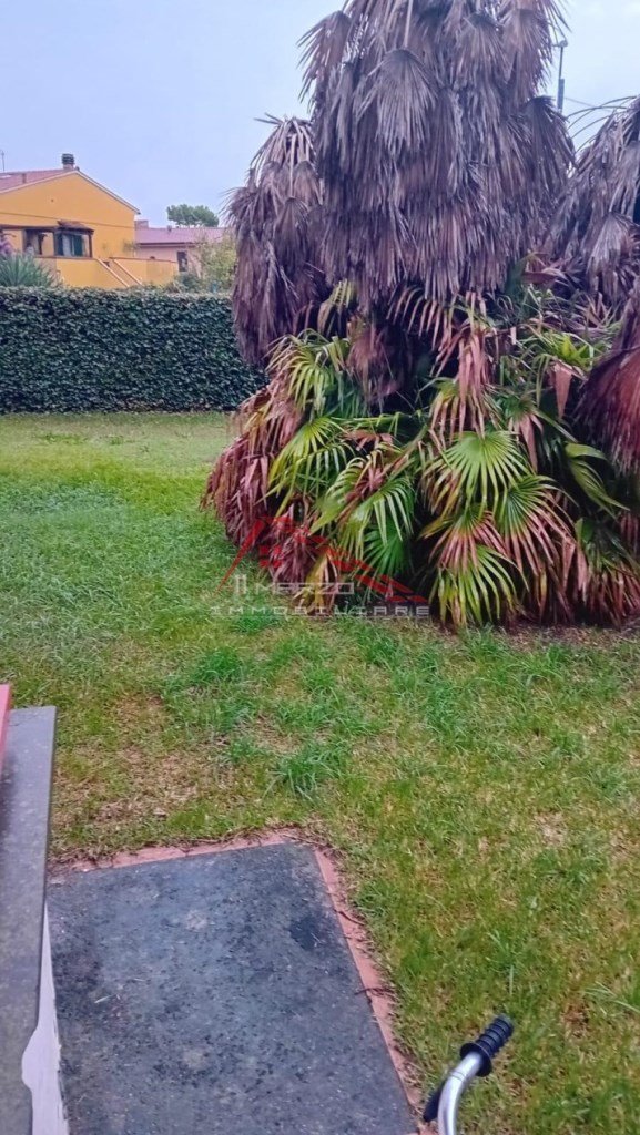 appartamento in vendita a Pisa