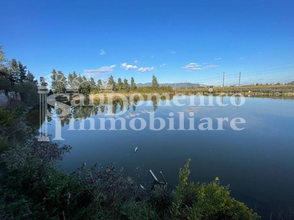 negozio in vendita a Pisa in zona Putignano