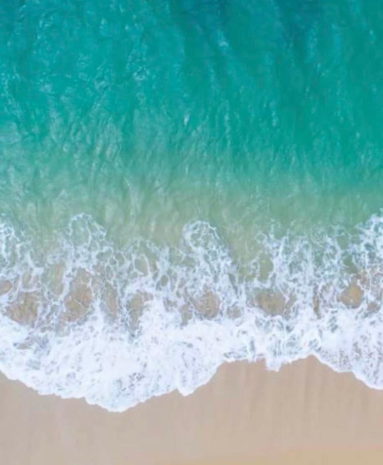 appartamento in vendita a Pisa in zona Marina di Pisa