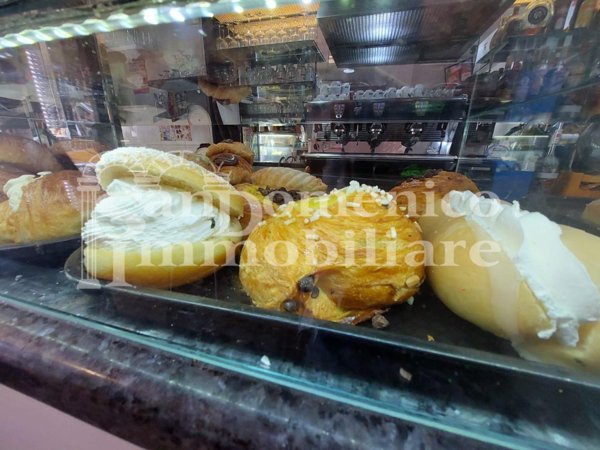 negozio in vendita a Pisa in zona Marina di Pisa