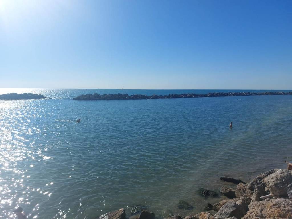 negozio in vendita a Pisa in zona Tirrenia