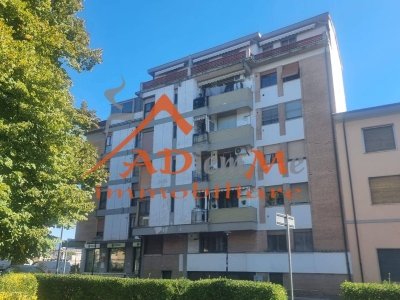 appartamento in vendita a Pisa in zona Quartiere San Giusto