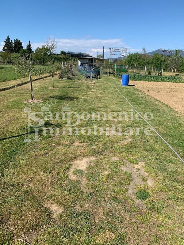 terreno agricolo in vendita a Pisa in zona Putignano