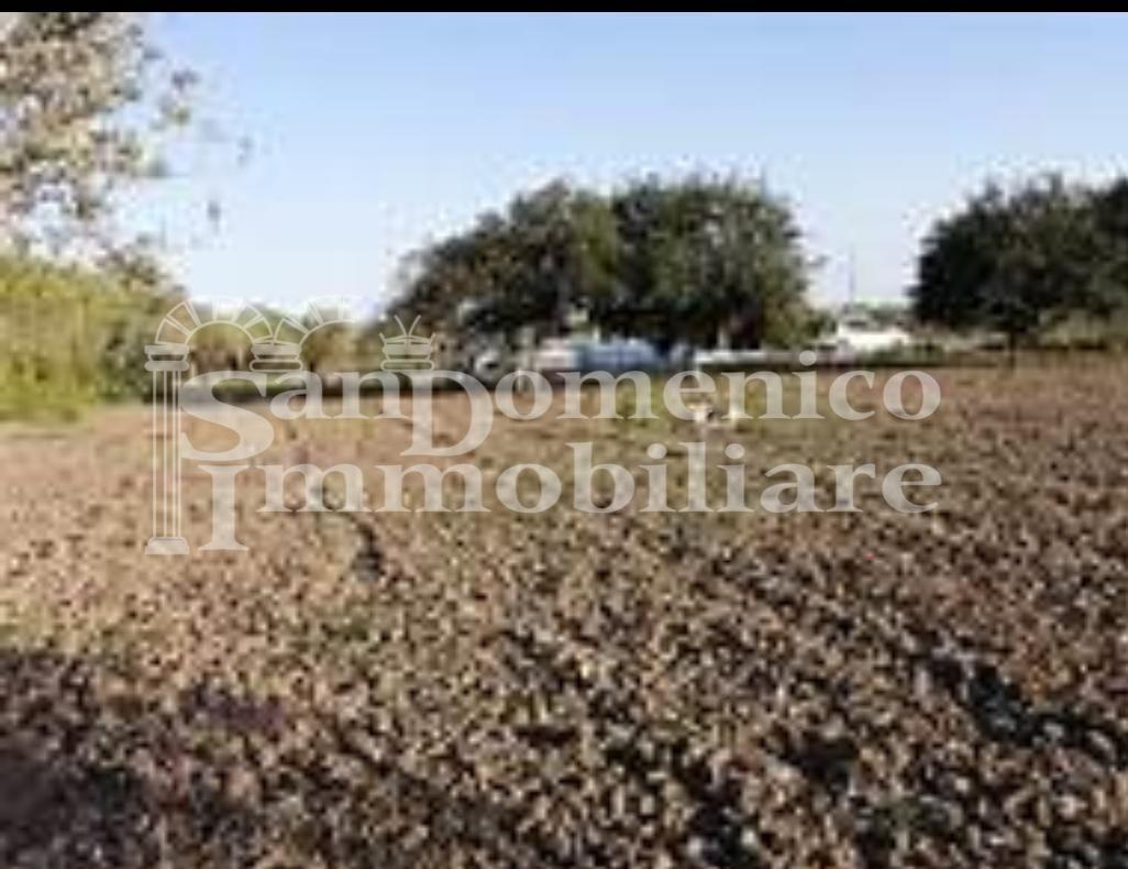 terreno agricolo in vendita a Pisa in zona Ospedaletto