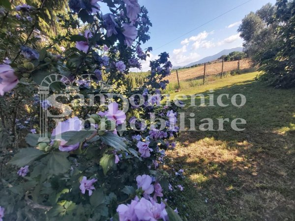 casa indipendente in vendita a Pisa in zona Ospedaletto