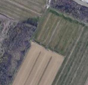 negozio in vendita a Pisa in zona Ospedaletto