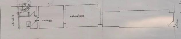 negozio in vendita a Pisa in zona Lungarni