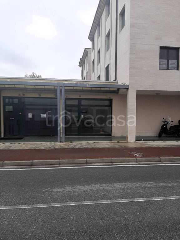 negozio in vendita a Pisa in zona Cisanello