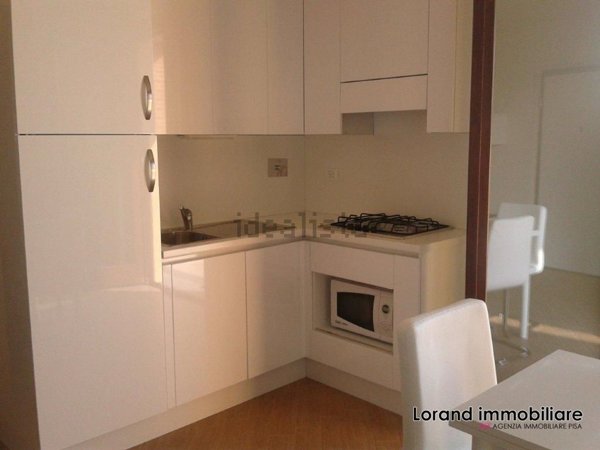 appartamento in vendita a Pisa