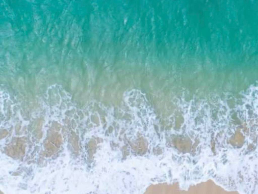 appartamento in vendita a Pisa in zona Tirrenia