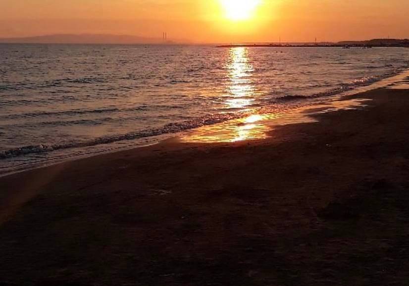 appartamento in vendita a Pisa in zona Tirrenia