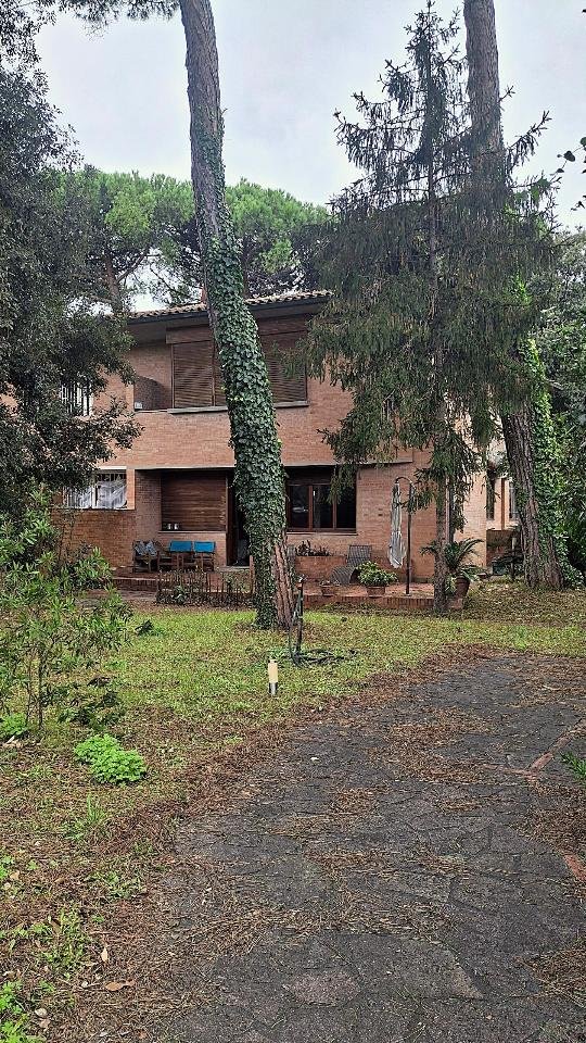 casa indipendente in vendita a Pisa in zona Tirrenia