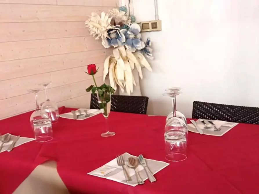 negozio in vendita a Pisa in zona Marina di Pisa