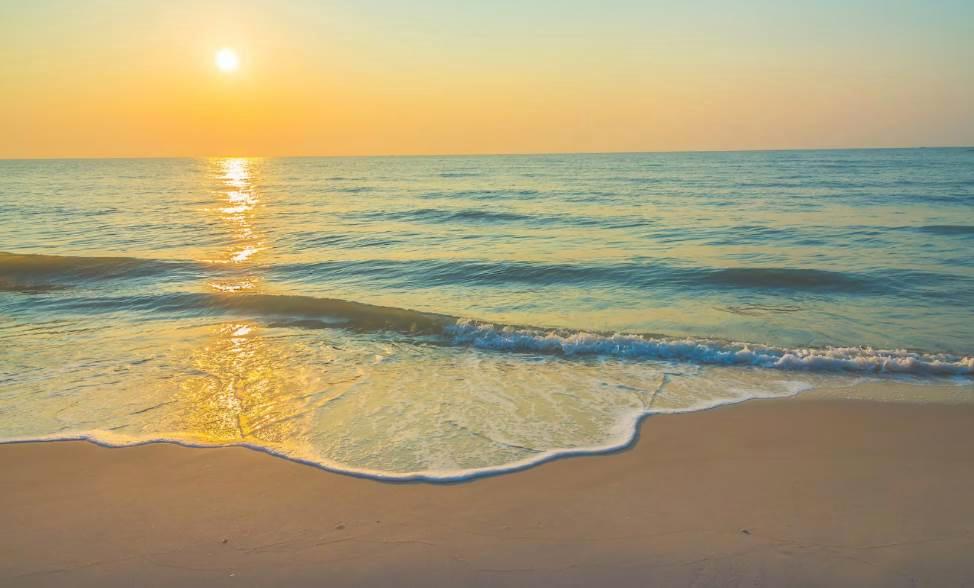 appartamento in vendita a Pisa in zona Marina di Pisa