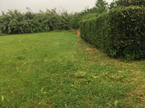 casa indipendente in vendita a Pisa in zona Putignano