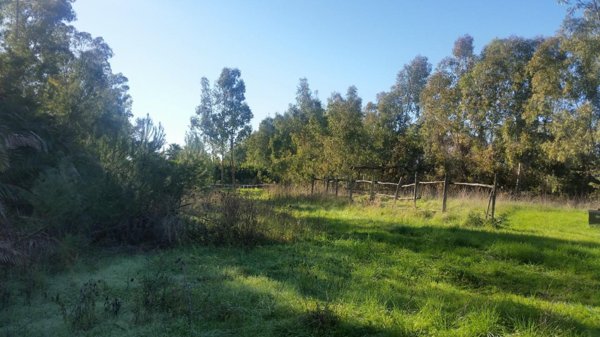 casa indipendente in vendita a Pisa