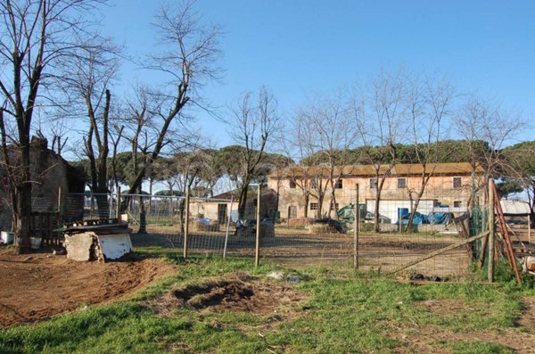 casa indipendente in vendita a Pisa in zona Tirrenia