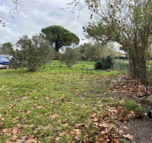 casale in vendita a Pisa in zona Coltano