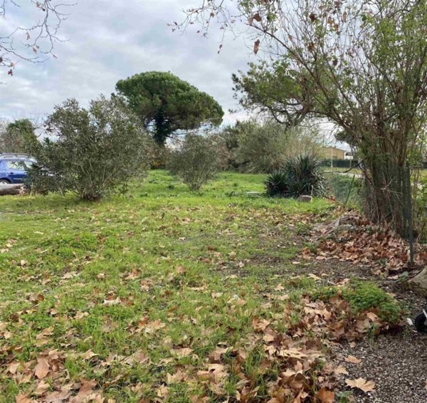 casale in vendita a Pisa in zona Coltano