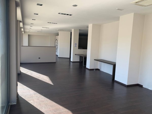 appartamento in vendita a Pisa in zona Lungarni