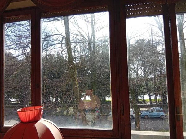 appartamento in vendita a Pisa in zona San Michele