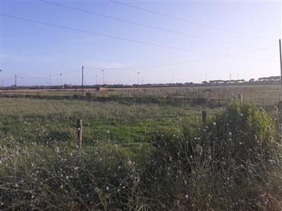 terreno in vendita a Pisa in zona Coltano